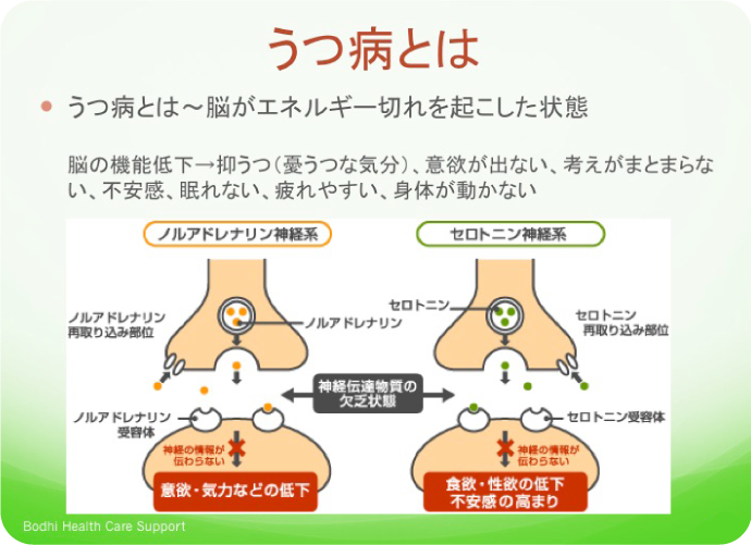 うつ病の説明